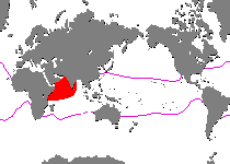 Range - Verbreitung Antennarius indicus (Indian frogfish - Indischer Anglerfisch) 