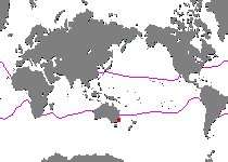 Range - Verbreitung Kuiterichthys sp (Bare Island Frogfish - Bare Island Anglerfisch)