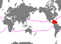 Range - Verbreitung Antennarius pauciradiatus (Dwarfed Frogfish - Zwergenhafter Anglerfisch - pescador enano)